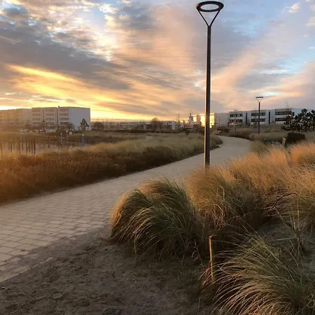 Cozy - Meerblick Bis Zur Fehmarnsundbruecke